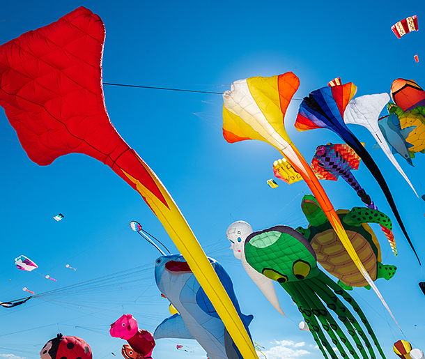 Lincoln City Summer Kite Festival | Starfish Manor